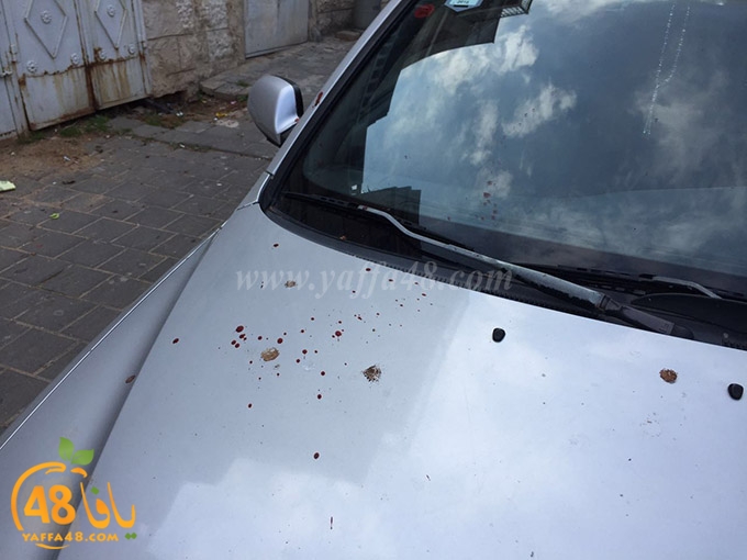 ta3n shamela (2).jpg